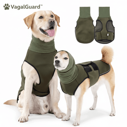 Instant Calm, Head to Tail | VagalGuard™ 360° Vest - Vagalguard